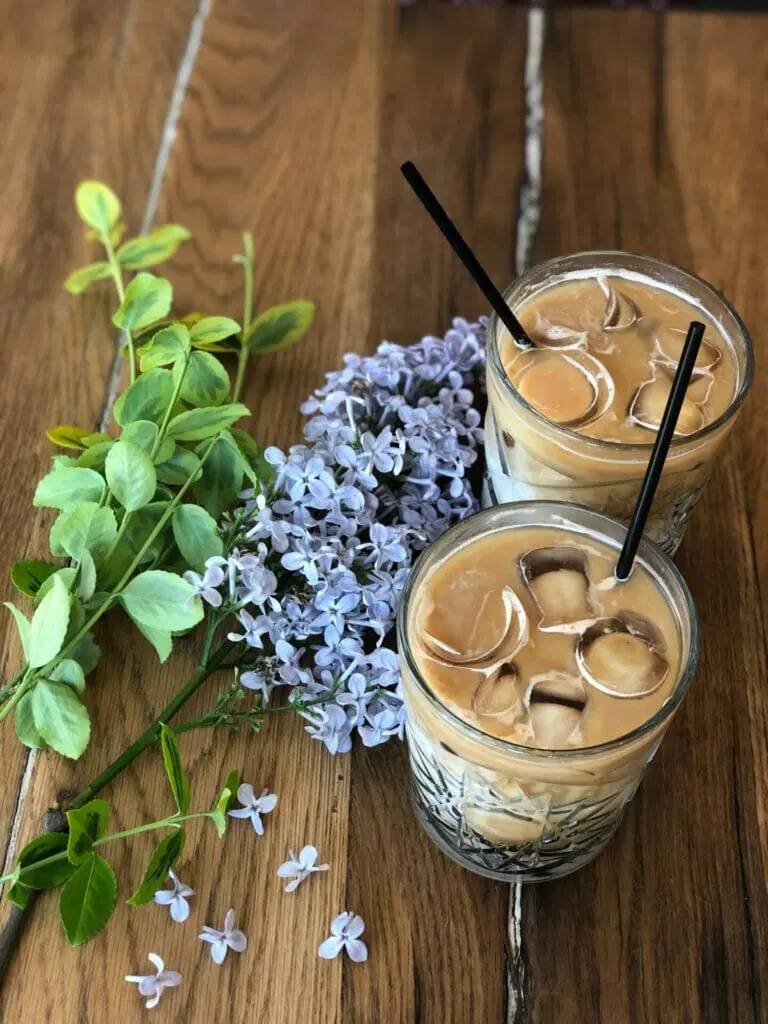 Traditional kava drink served at a Fort Lauderdale kava bar